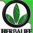 herbalifem