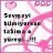 BERFİN