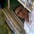 nz__320